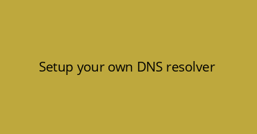 Setup your own DNS resolver